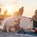 Tips to Make Your Furry Friend’s First Vacation a Success Furry Friend’s First Vacation