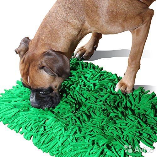 rug