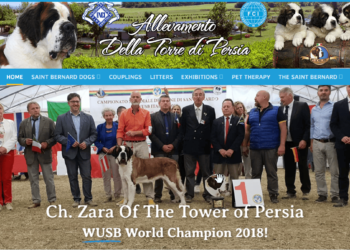 Della Torre Di Persia