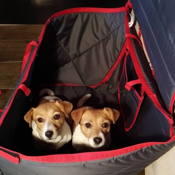Dog Carrier