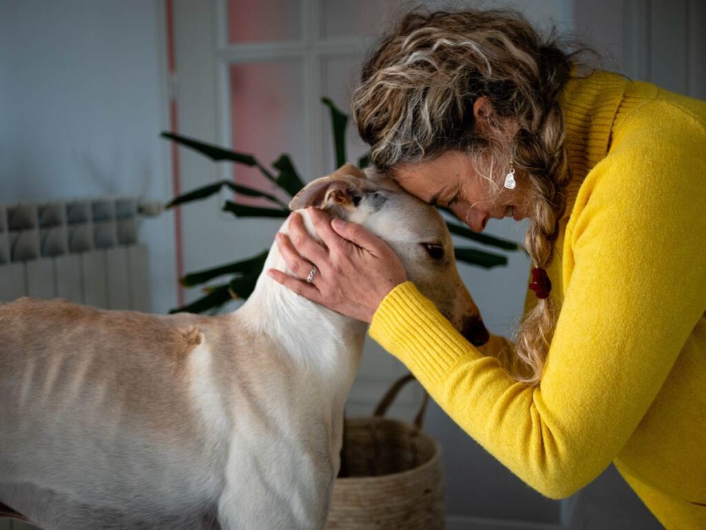 Adopting Greyhounds