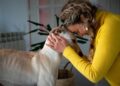 Adopting Greyhounds