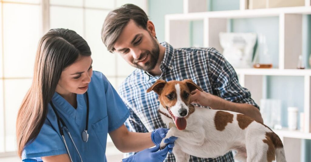20 Reasons to Invest in Pet Insurance Today Choose the Best Pet Insurance