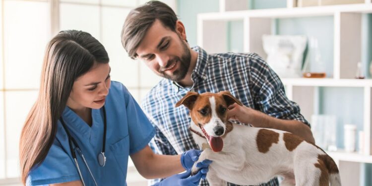 Choose the Best Pet Insurance