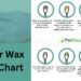 Dog Ear Wax Color Chart