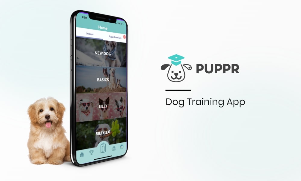 Popular Pet Apps for Dog Lovers Puppr - Dog Training & Tricks