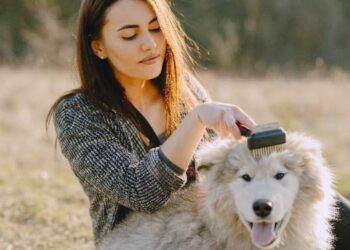 Pest Management Tips