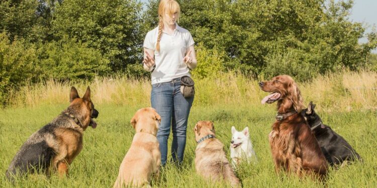 Popular Pet Apps