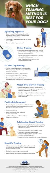 Training Time: 13 Strategies to Make It Fun for Your Dog Training Time
