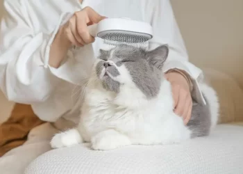 Cat Getting Hairballs