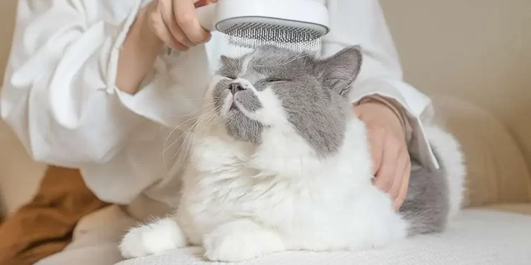Cat Getting Hairballs