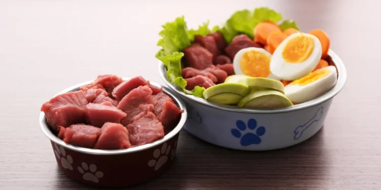 How Much Raw Food Should I Feed My Dog?