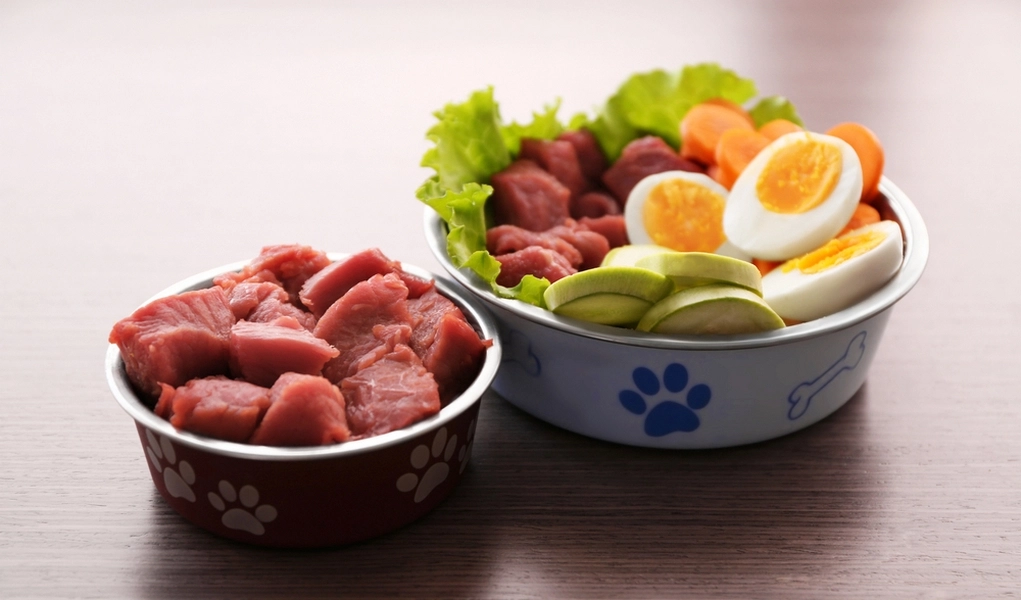 Raw diet puppy food Raw diet puppy food