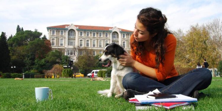 Pet for Students