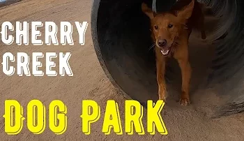 Cherry Creek Dog Park