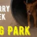 Cherry Creek Dog Park