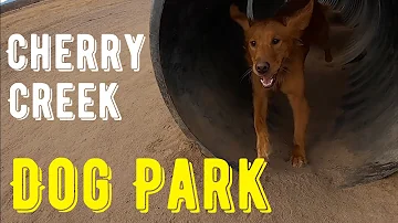 Cherry Creek Dog Park