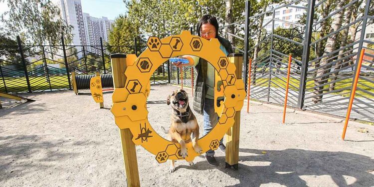 Dog Park