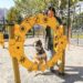 5 Things to Consider When Designing a High-End Dog Park Dog Park