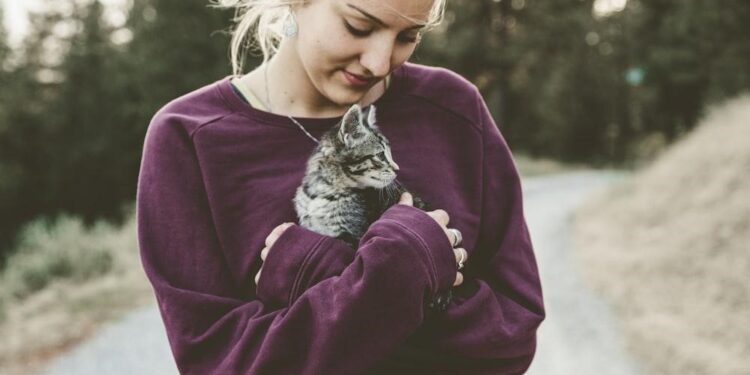 How to Become a Veterinarian