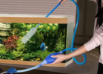 Professional Aquarium Cleaning