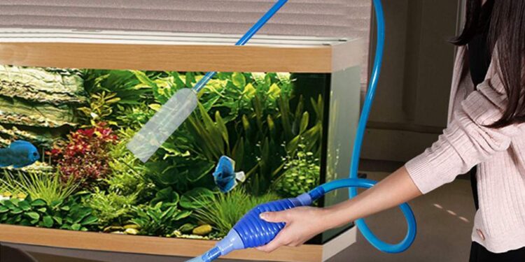 Professional Aquarium Cleaning