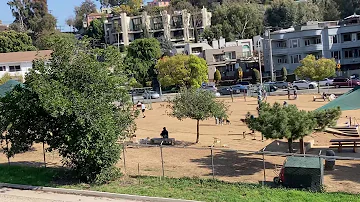 silver lake dog park