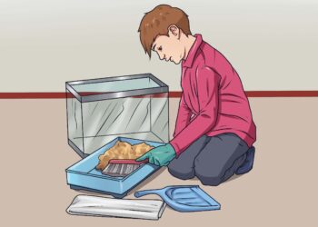 Cleaning your Reptile's Cage