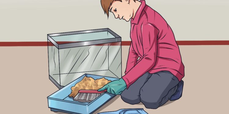 Cleaning your Reptile's Cage