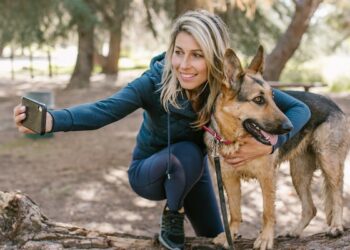 How to Reduce Stress at Home for an Adopted Pet How to Reduce Stress at Home for an Adopted Pet