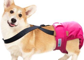 dog diaper suspenders