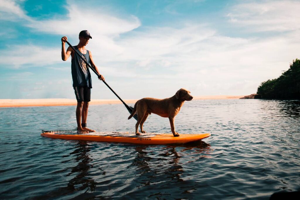 dog-friendly water sports