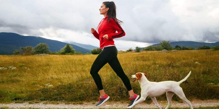Best Ways to Exercise Your Dog