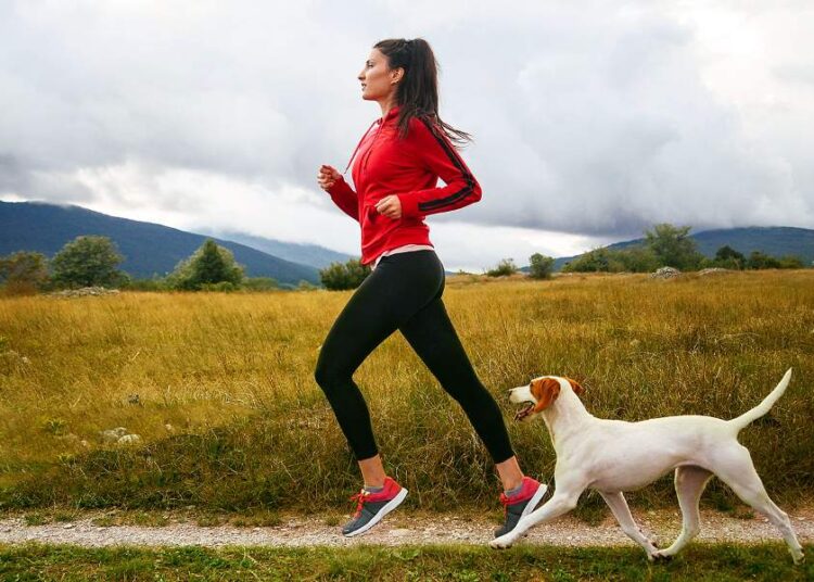 8 Proven Ways to Improve Your Pet's Diet Best Ways to Exercise Your Dog