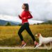 7 Best Ways to Exercise Your Dog Best Ways to Exercise Your Dog