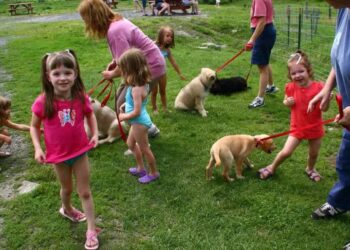 Importance of Socializing Your Puppy