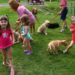 The Importance of Socializing Your Puppy Importance of Socializing Your Puppy