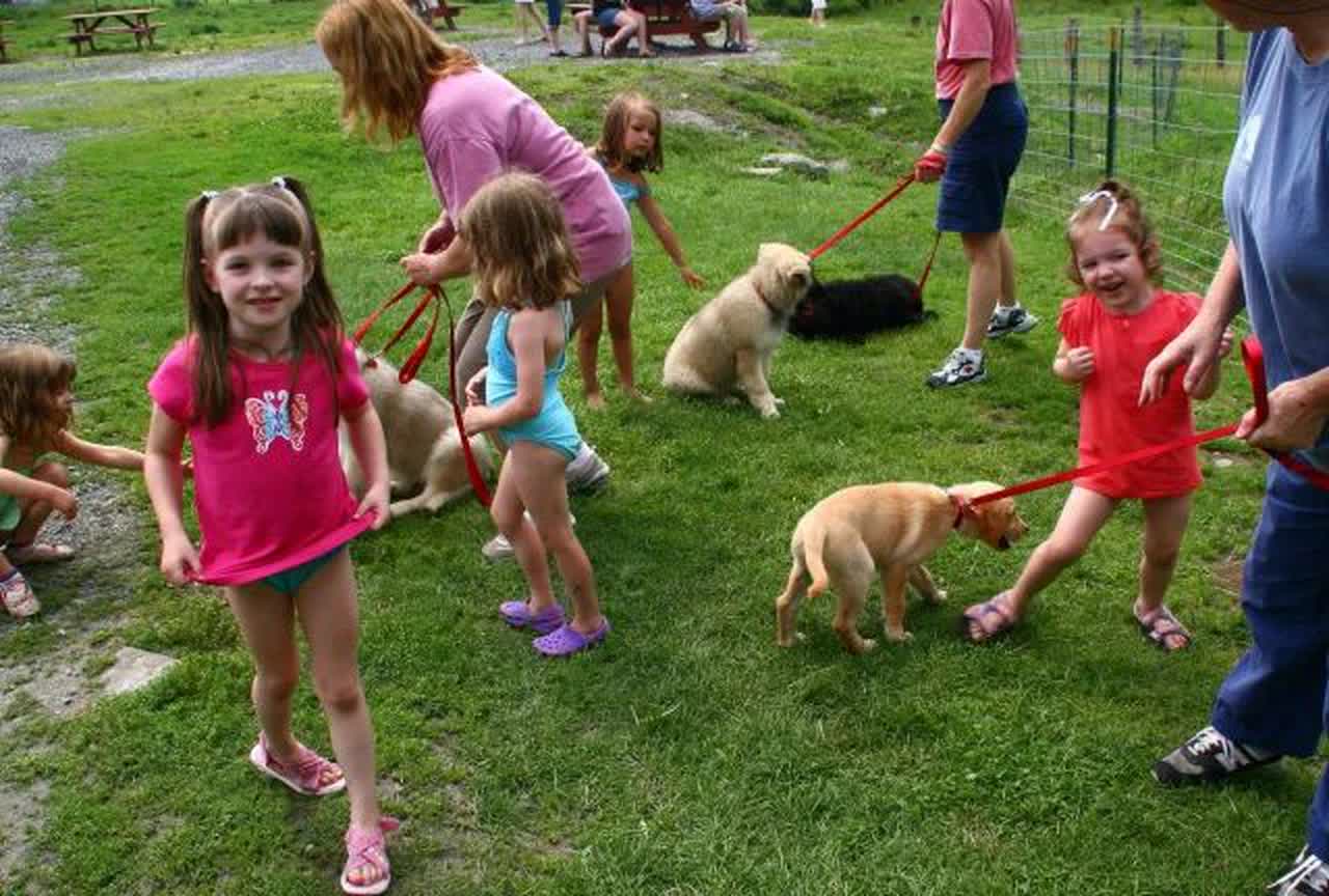 The Importance of Socializing Your Puppy Importance of Socializing Your Puppy