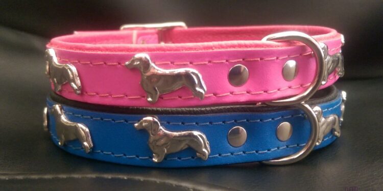 Matching Collars to a Dog and its Owner
