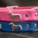 Matching Collars to a Dog and its Owner Matching Collars to a Dog and its Owner