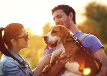 Date Ideas for Dog Owners