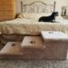 Dog Stairs