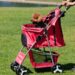 Dog Stroller