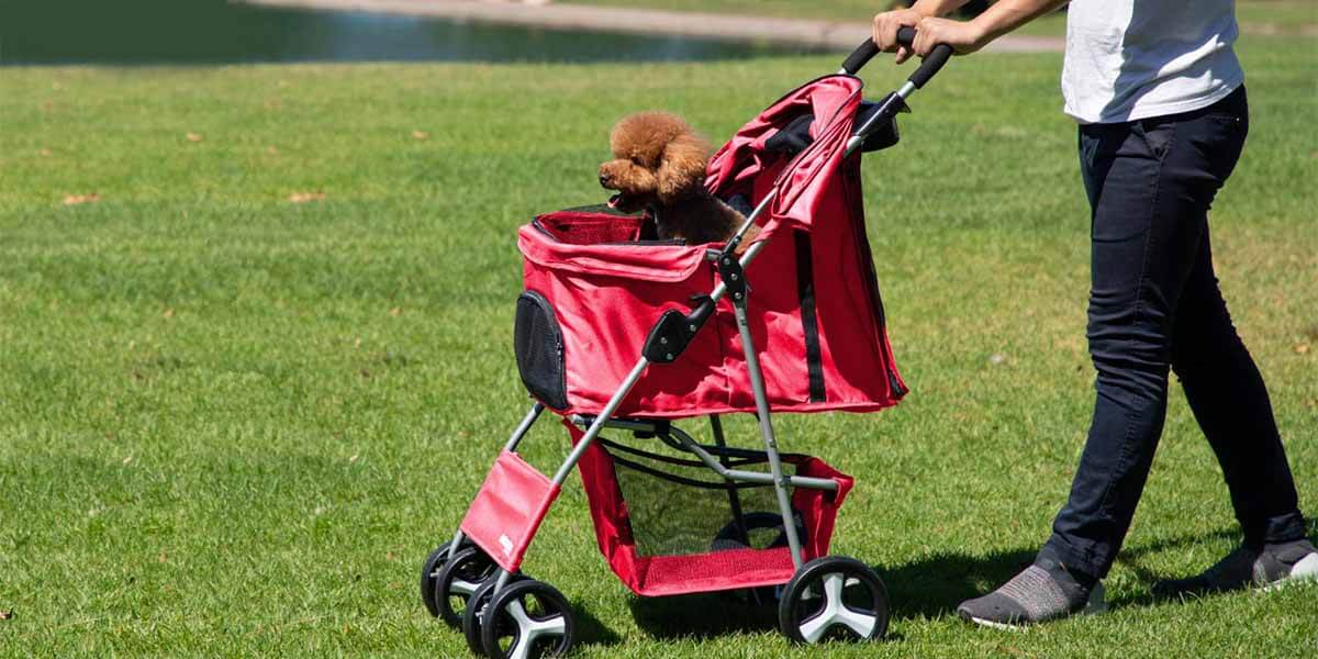 Rolling in Style: The Ultimate Guide to Dog Stroller Dog Stroller