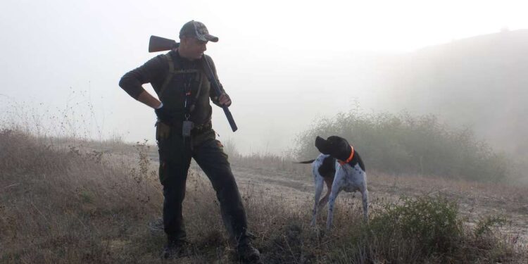 Hunting with Dogs