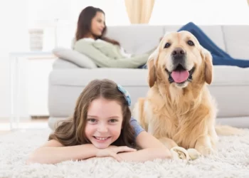 Keep Your Pet Looking Great