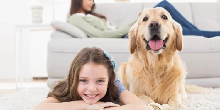 What You Need To Know To Keep Your Pet Looking Great Keep Your Pet Looking Great