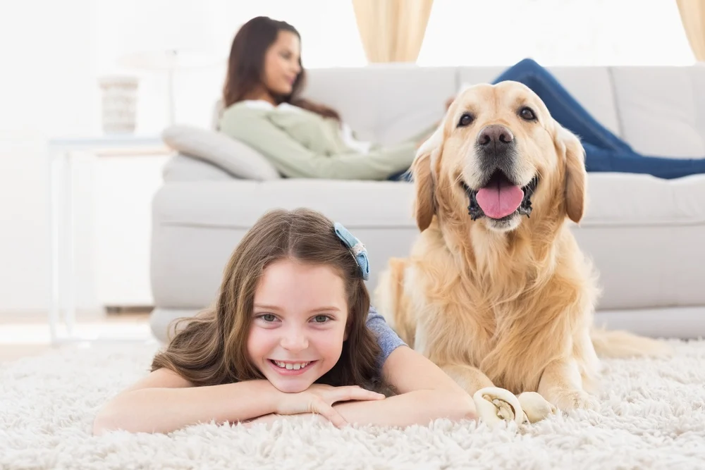 What You Need To Know To Keep Your Pet Looking Great Keep Your Pet Looking Great