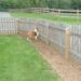 What Are the Benefits of Getting a Pet Fence? Pet Fence