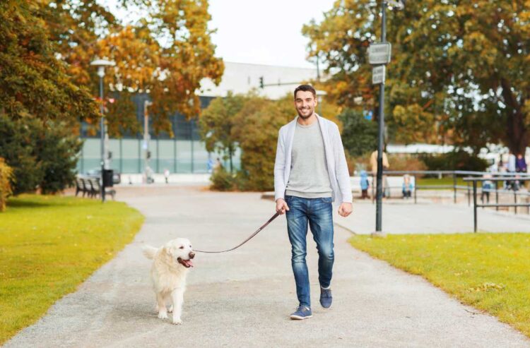 7 Tips for Preparing Your Dog for Off-Leash Freedom Practice Long-Leash Walking